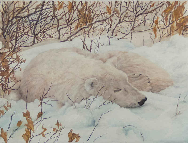 At Rest, Churchill, Manitoba 2019 (Oil on Canvas, 30.5cm x 40.5cm) SOLD